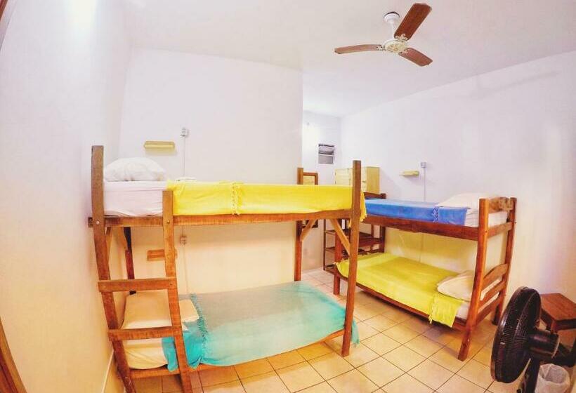 تختخواب در اتاق مشترک, Buddy S Hostel Itacaré