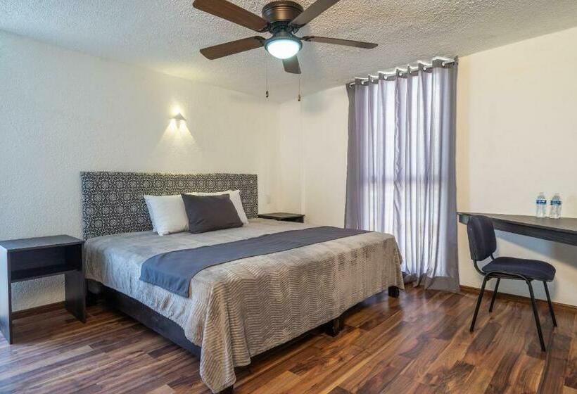 Quarto Triplo Economy, Delf Inn