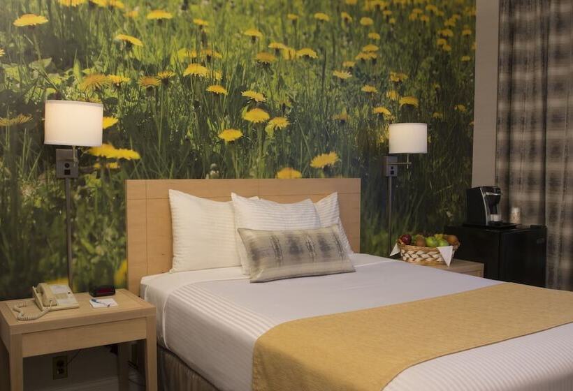 Номер Deluxe, Adria Hotel And Conference Center