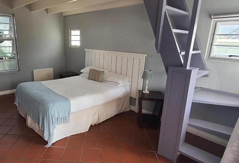 Апартаменты Комфорт 1 Спальня, Seals Backpackers