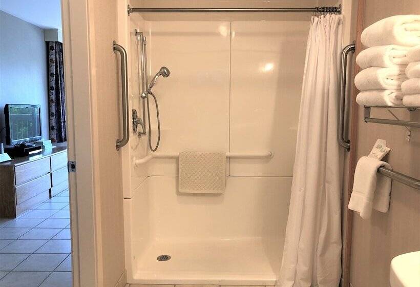 Quarto Estandar Cama King para Deficientes Físicos, Atlantic Eyrie Lodge