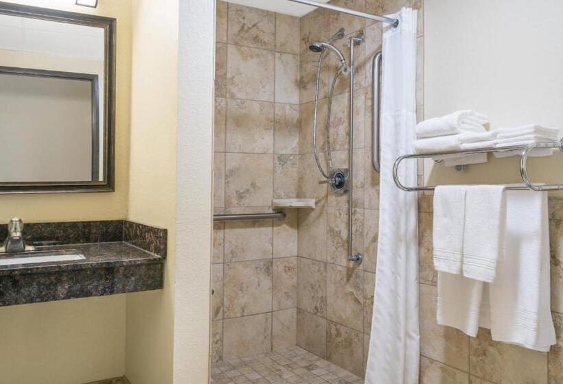 스탠다드 룸 킹사이즈 침대, Days Inn & Suites By Wyndham Baxter Brainerd Area