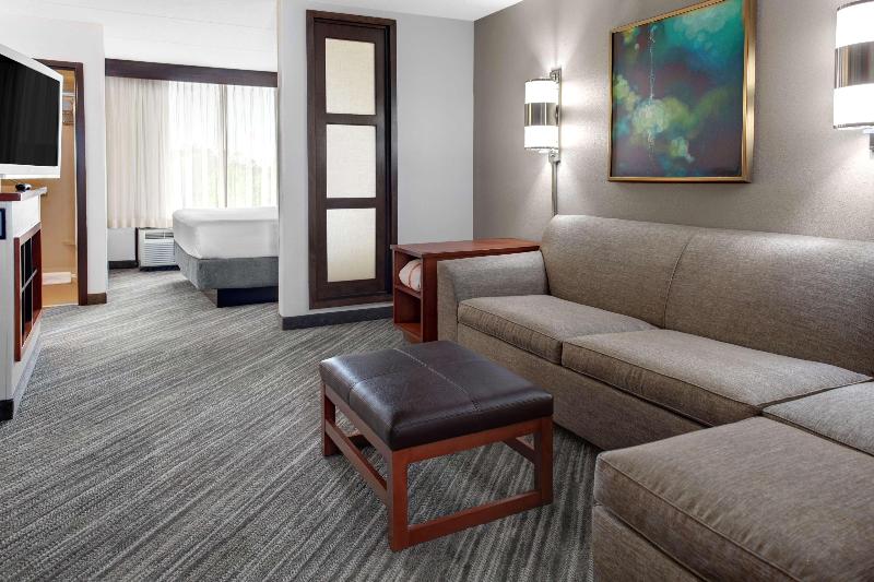 스탠다드 룸 킹사이즈 침대, Hyatt Place Denver Airport