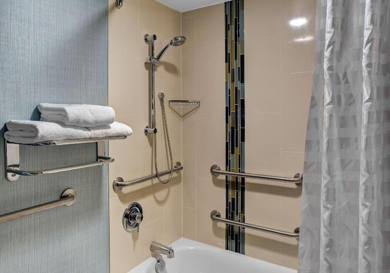 스탠다드 룸 킹사이즈 침대, Hyatt Place Denver Airport