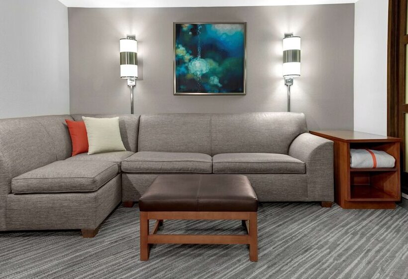 Chambre Standard 2 Lits Doubles, Hyatt Place Memphis Primacy Parkway