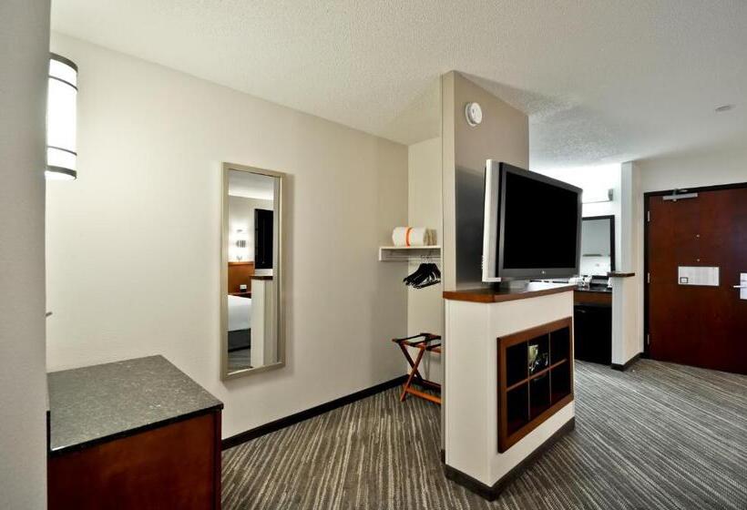 キングサイズベッドのスタンダードルーム, Hyatt Place Minneapolis Airport South