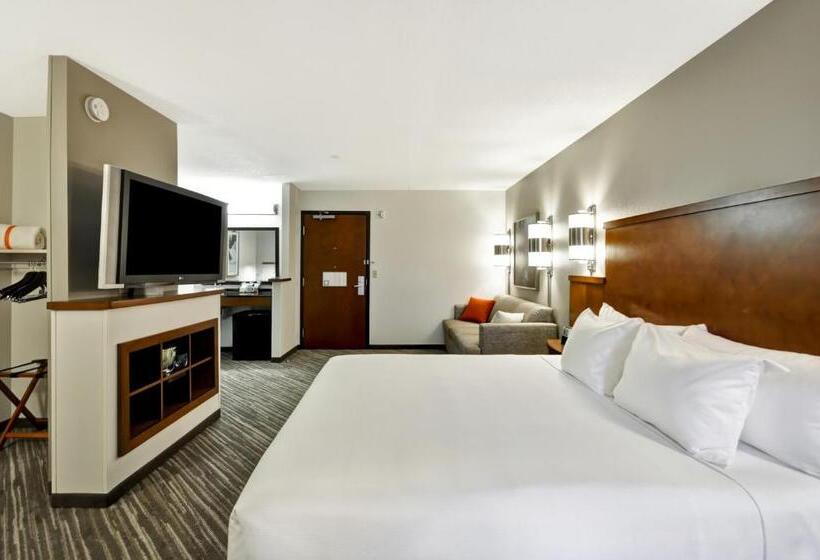 身障者適用キングサイズベッドルーム, Hyatt Place Minneapolis Airport South