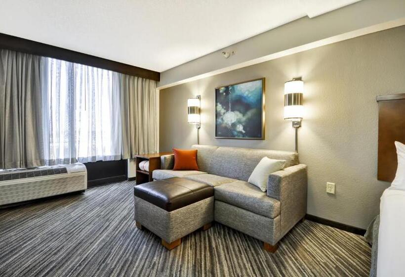 身障者適用キングサイズベッドルーム, Hyatt Place Minneapolis Airport South