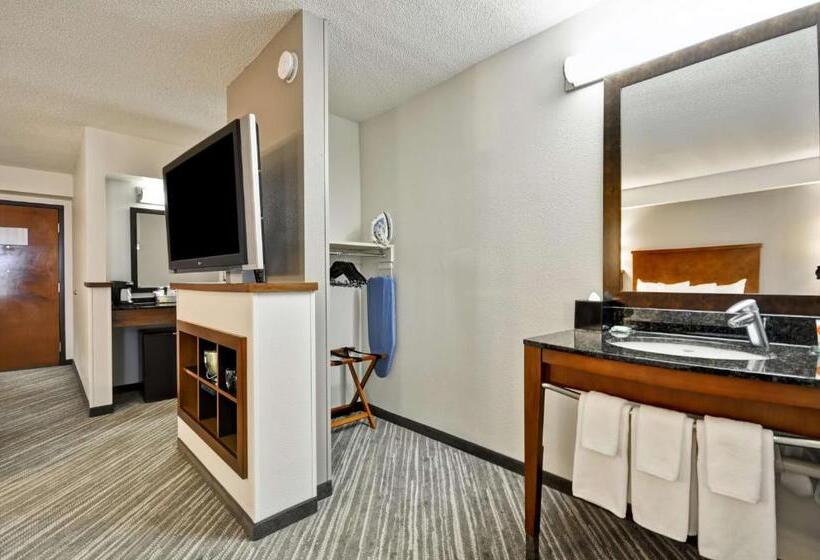 身障者適用キングサイズベッドルーム, Hyatt Place Minneapolis Airport South