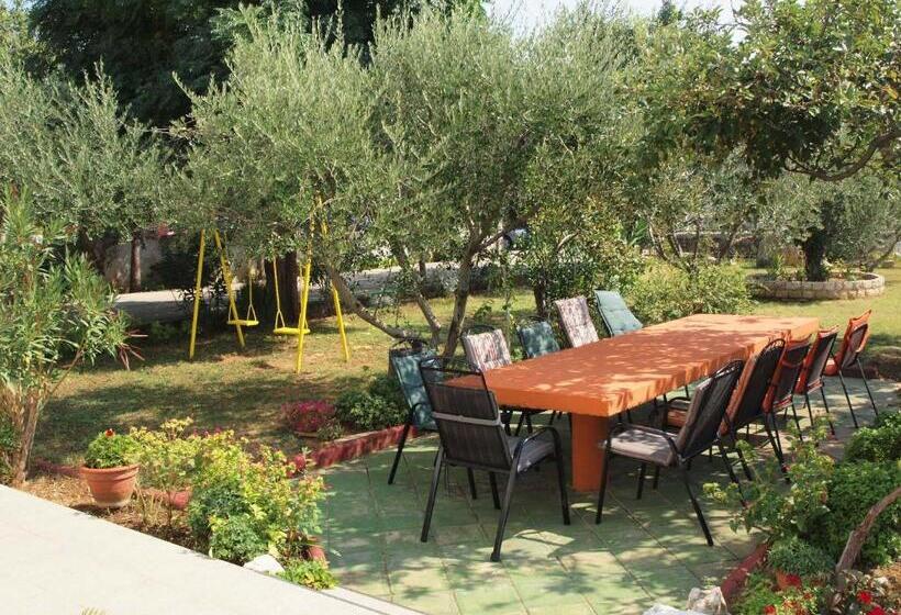 آپارتمان 1 خوابه, Ana Guest House