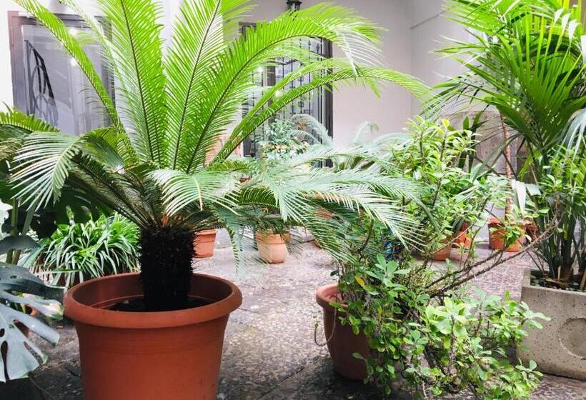 اتاق لوکس با بالکن, B&b Fiumara