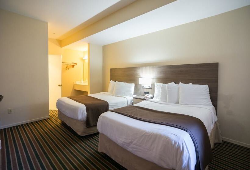 标准间, Beachview Inn
