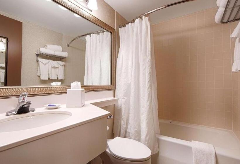 장애인을 위한 킹사이즈 침대 스탠다드 룸, Best Western Plus Chelmsford Inn