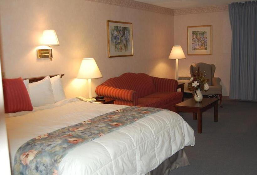 带大床的标准间, Best Western Plus Chelmsford Inn