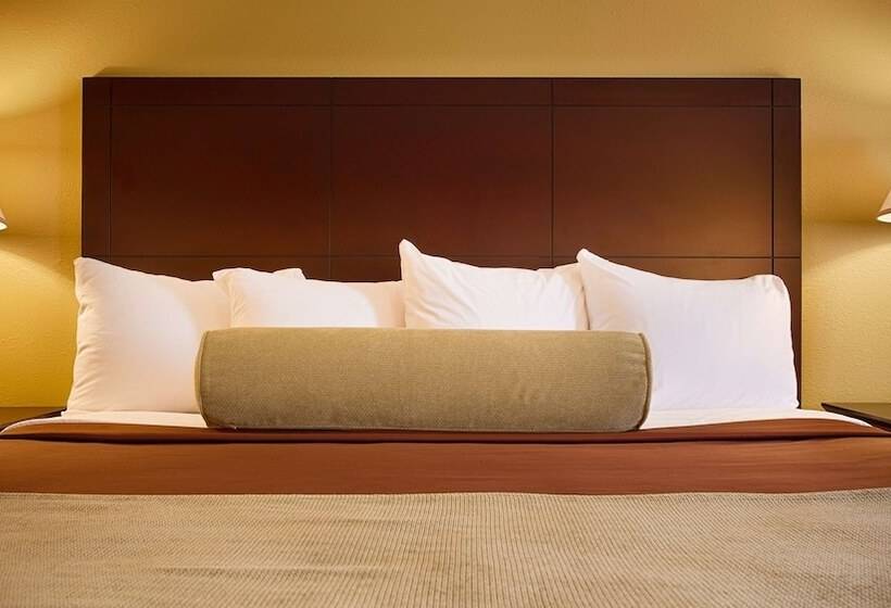 Номер Стандарт 2 Двуспальные Кровати, Best Western Plus Executive Inn