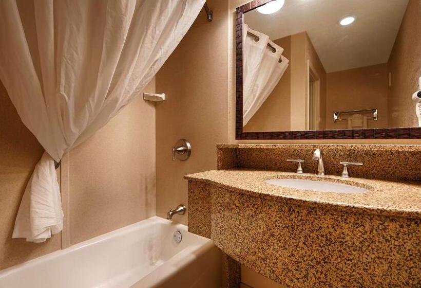 스탠다드 룸 킹사이즈 침대, Best Western Plus Ontario Airport & Convention Center