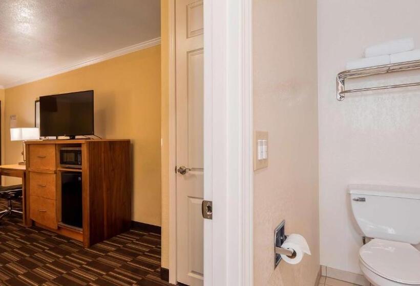 스탠다드 룸 킹사이즈 침대, Best Western Plus Ontario Airport & Convention Center
