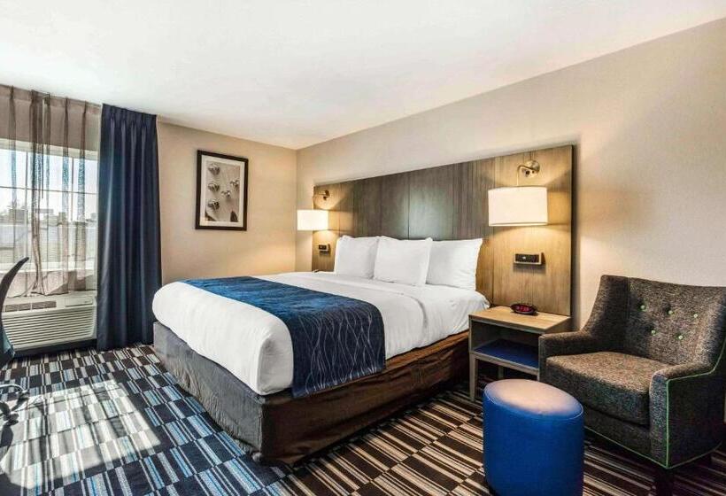 Camera Standard Letto King, Comfort Inn Airport