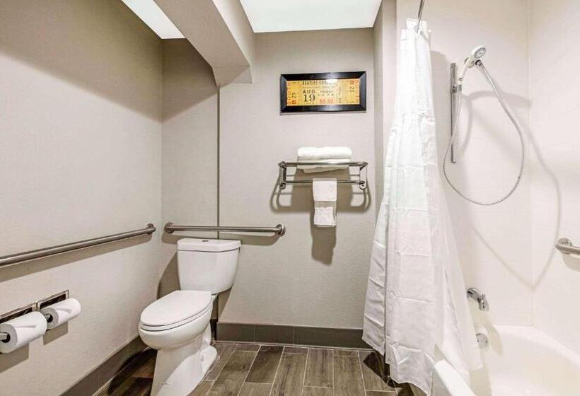 Camera Standard Letto King, Comfort Inn Airport