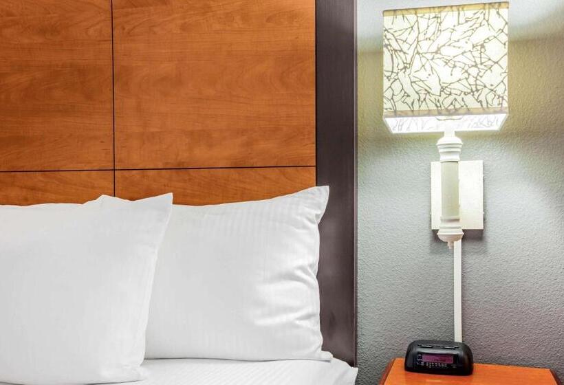 Номер Стандарт Кровать Кинг Адаптированный для Инвалидов, La Quinta By Wyndham Houston Baytown East