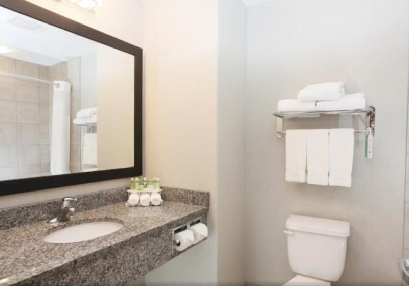 חדר סופריור, Red Roof Inn & Suites Rome