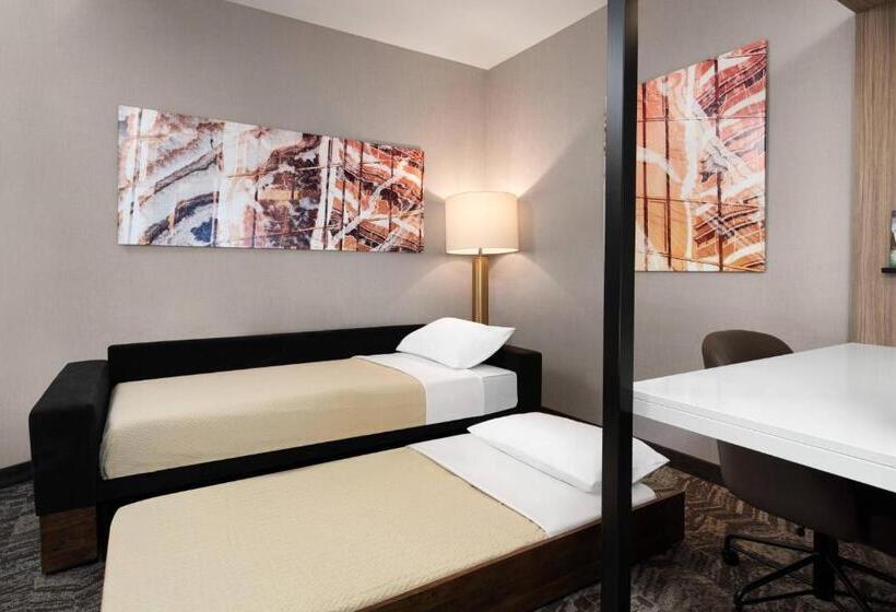 スタンダードスタジオ, Springhill Suites By Marriott St. George Washington