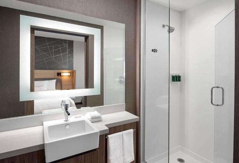 スタンダードスタジオ, Springhill Suites By Marriott St. George Washington