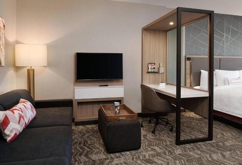 キングサイドベッドのスタンダードワンルーム, Springhill Suites By Marriott St. George Washington