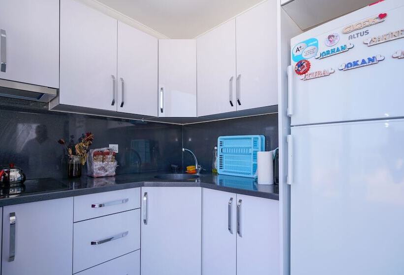 Апартаменты 1 Спальня, çi̇çek Apart Otel