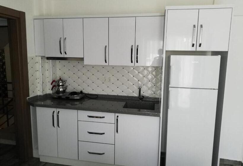 Апартаменты 2 Спальни, çi̇çek Apart Otel