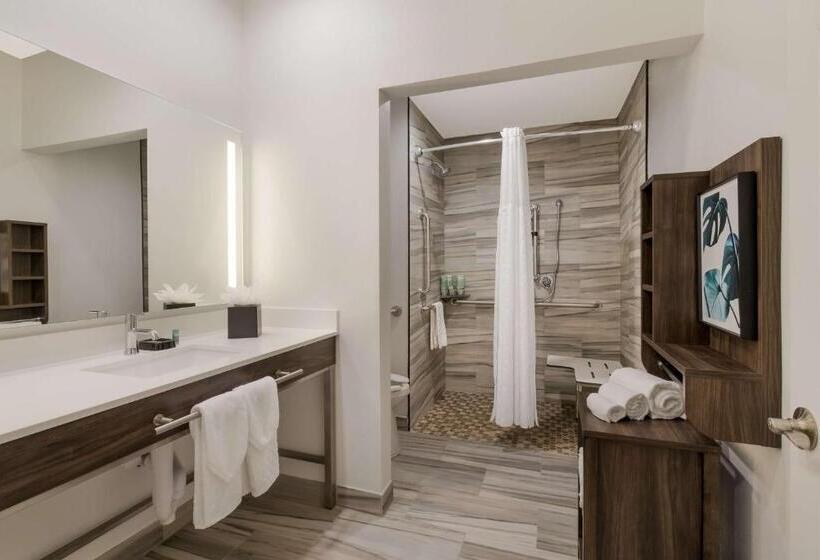 Люкс Адаптированный для Инвалидов, Best Western La Place Inn
