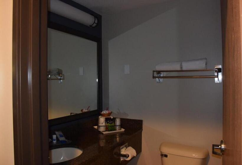 Номер Стандарт Кровать Кинг Адаптированный для Инвалидов, Best Western Newberg Inn