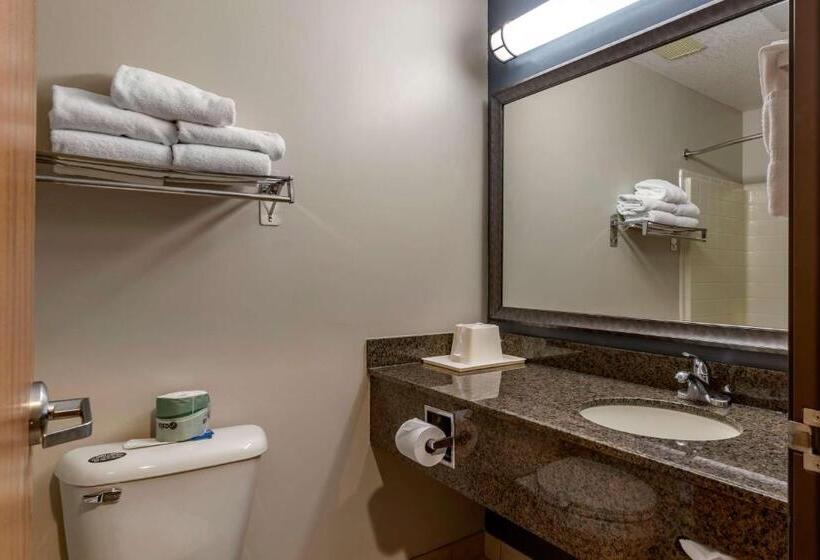 Номер Стандарт, Best Western Newberg Inn