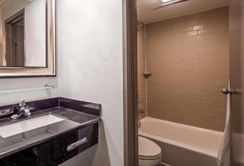 Стандартный Номер Кровать Кинг, Best Western Webster/nasa