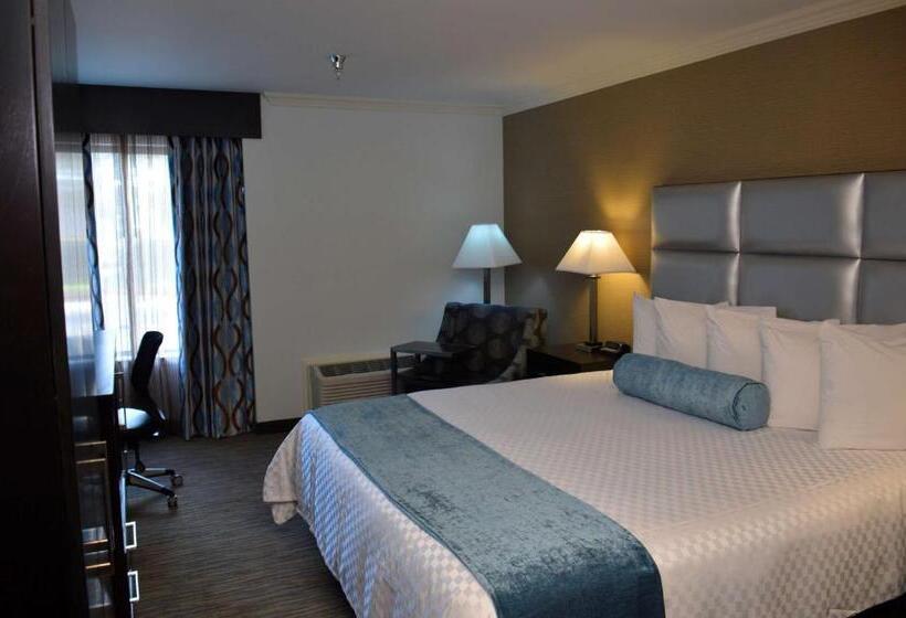 Номер Стандарт Кровать Кинг Адаптированный для Инвалидов, Best Western Webster/nasa