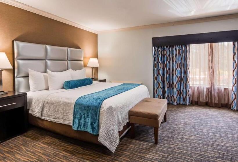 Люкс Кровать Кинг, Best Western Webster/nasa