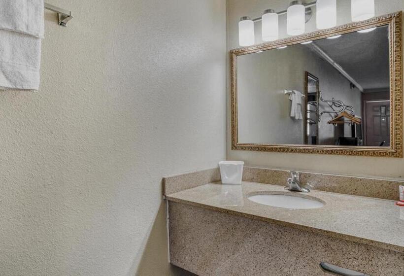 Номер Стандарт, Oyo Hotel Pineville La Hwy 165