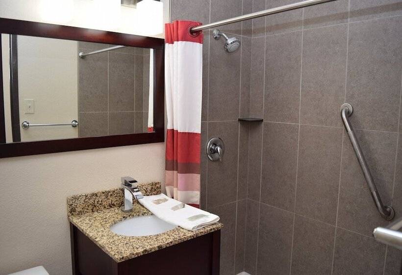 Номер Стандарт Двуспальная Кровать, Red Roof Inn Batavia