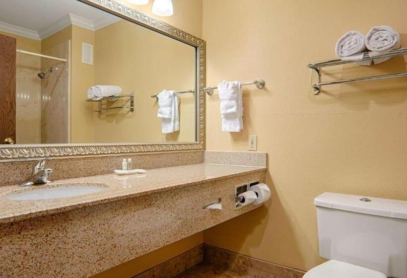 Стандартный Номер Кровать Кинг, Best Western Plus Southpark Inn & Suites