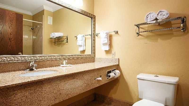 キングサイズベッドのスタンダードルーム, Best Western Plus Southpark Inn & Suites
