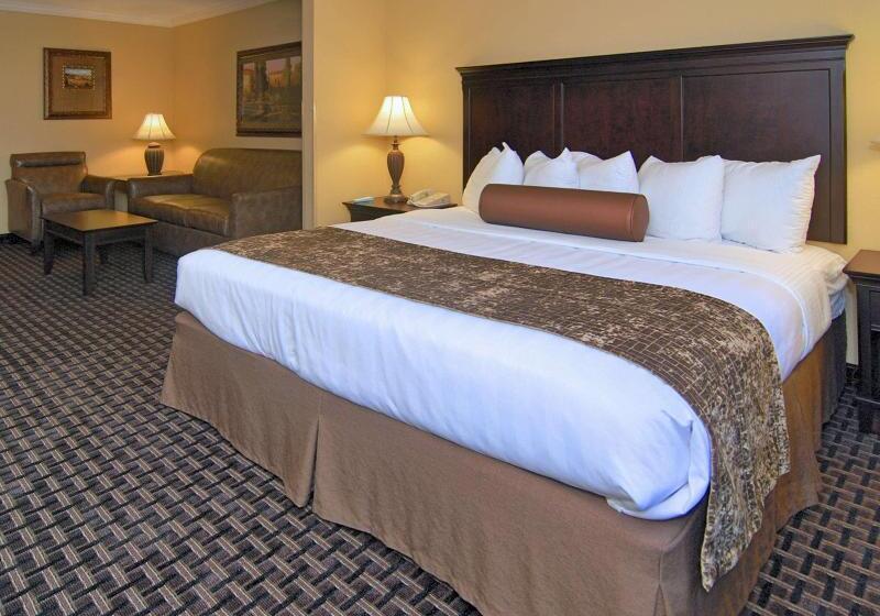 Стандартный Номер Кровать Кинг, Best Western Plus Southpark Inn & Suites