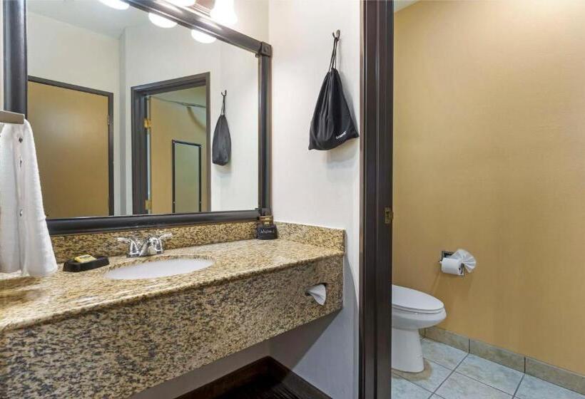 Стандартный Номер Кровать Кинг, Best Western Plus The Inn At Horse Heaven