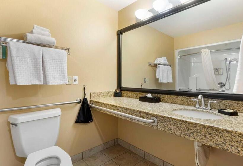 Номер Стандарт Адаптированный для Инвалидов, Best Western Plus The Inn At Horse Heaven