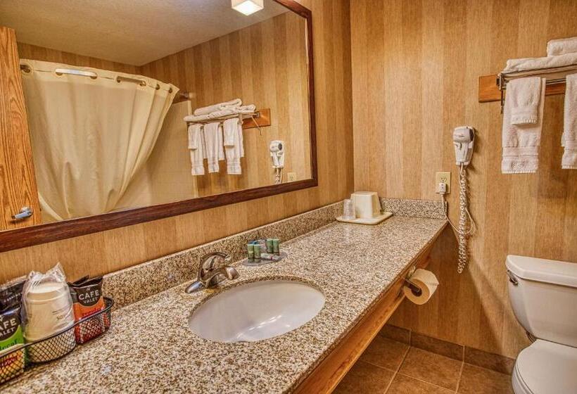 이그제큐티브 스위트 킹침대, Best Western Rory & Ryan Inns