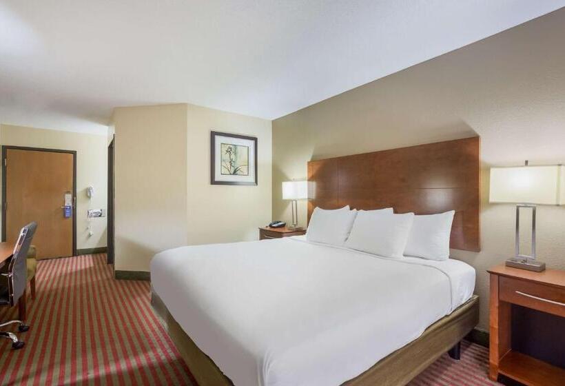 Номер Стандарт Кровать Кинг Адаптированный для Инвалидов, Best Western U. S. Inn