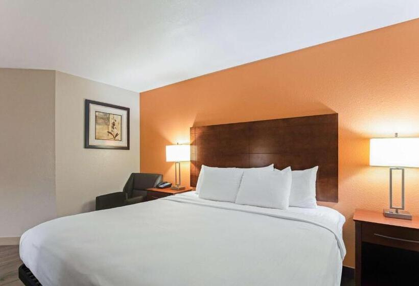 Номер Стандарт Кровать Кинг Адаптированный для Инвалидов, Best Western U. S. Inn