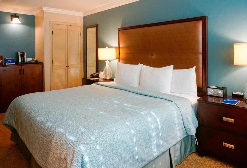 스탠다드 룸 킹사이즈 침대, Blue Dolphin Inn