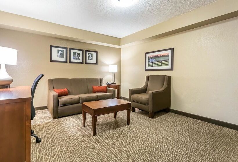 스위트, Comfort Inn & Suites