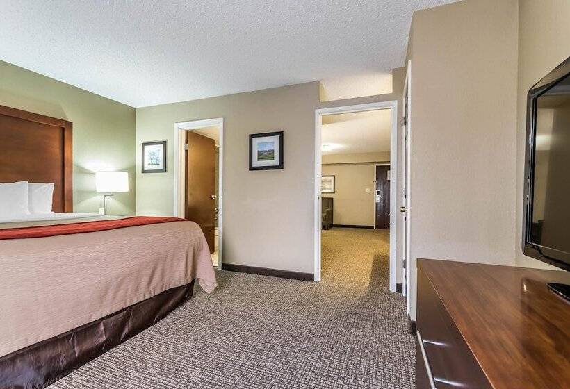스위트, Comfort Inn & Suites
