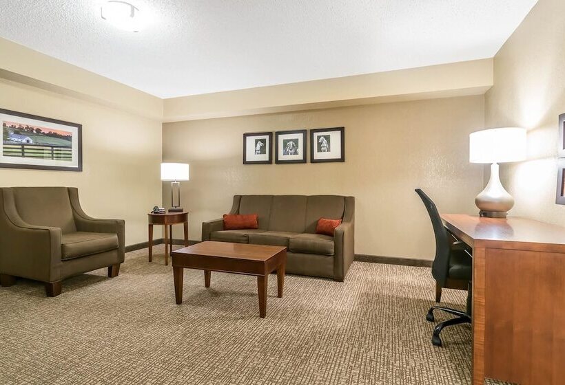 스위트, Comfort Inn & Suites
